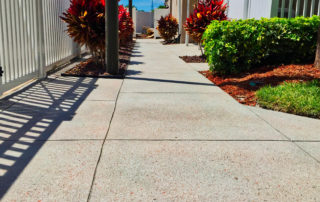 Pebble Path