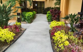 Pebble Path