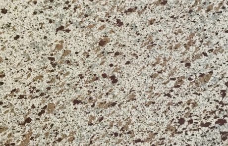 Sample Board Bone