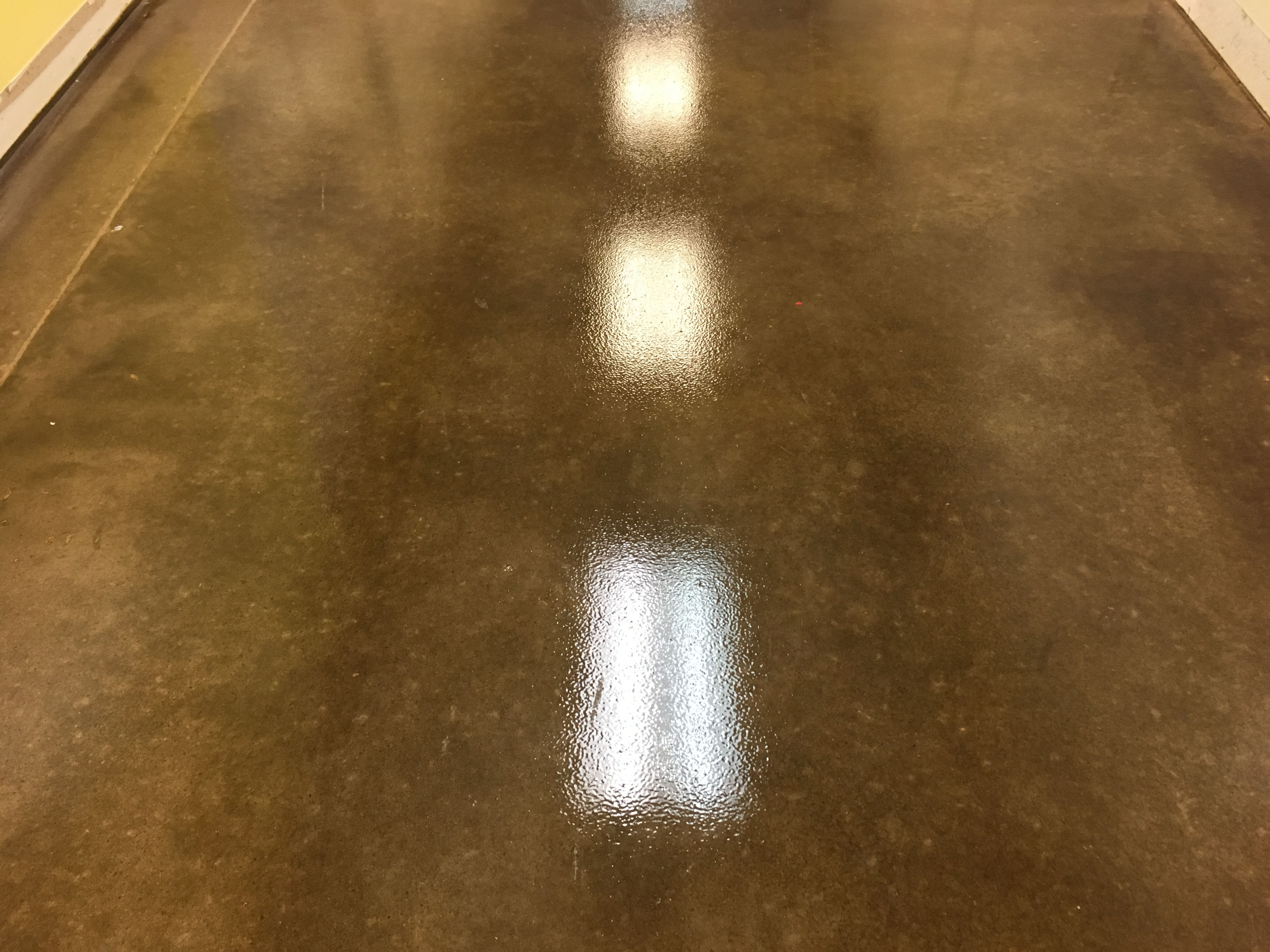 Woodland polished floor