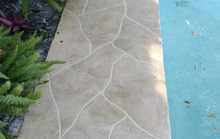 Pacific Stone - Limestone Cliff 1