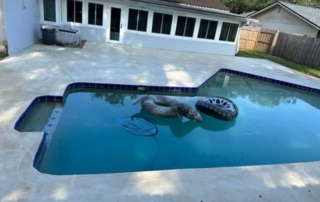 finished pool resurfacing