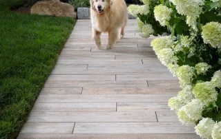 dog running on porcelain paver