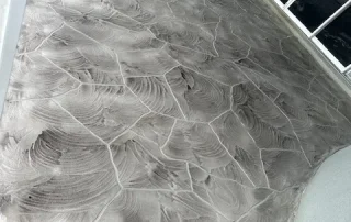 Gray Stamped Concrete Pathway