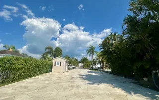 creative resurfacing driveway palm trees